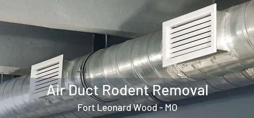 Air Duct Rodent Removal Fort Leonard Wood - MO