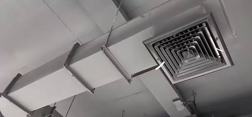 Our Pest Removal From Ducts Services in Fort Leonard Wood, MO