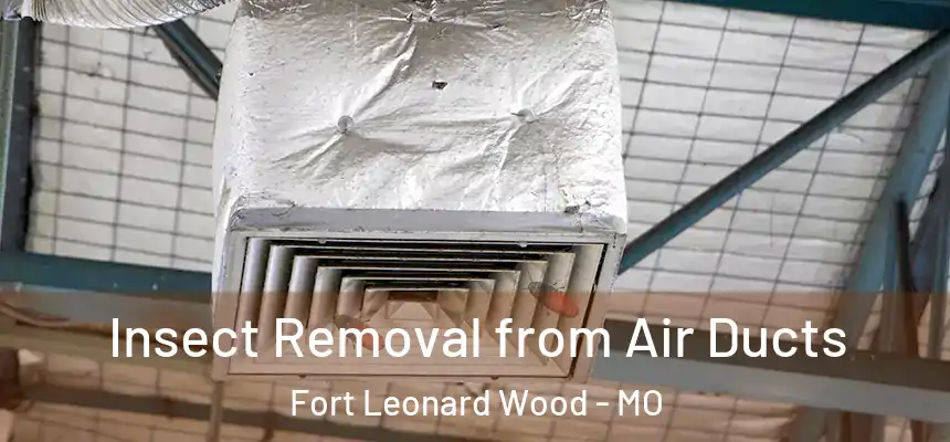Insect Removal from Air Ducts Fort Leonard Wood - MO