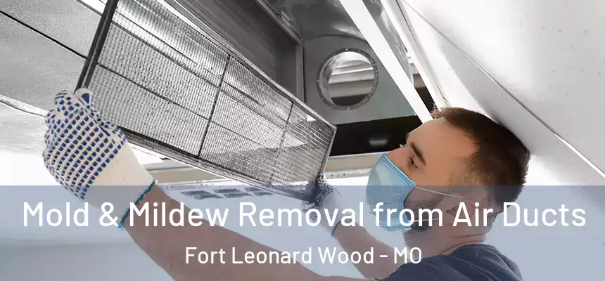 Mold & Mildew Removal from Air Ducts Fort Leonard Wood - MO