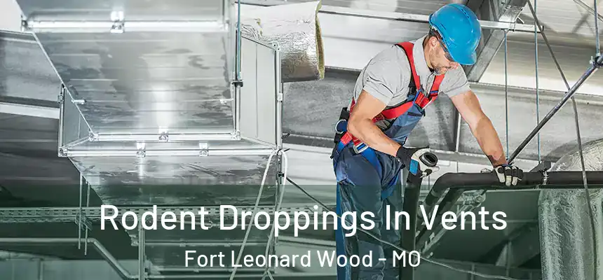  Rodent Droppings In Vents Fort Leonard Wood - MO