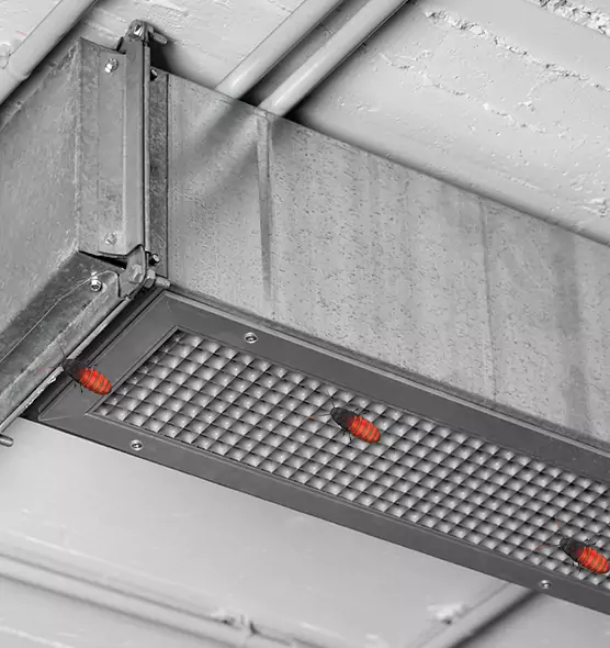 About Air Duct Cockroach Removal in Fort Leonard Wood, MO