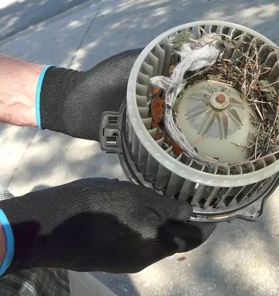 About Air Duct Rat Removal in Fort Leonard Wood, MO