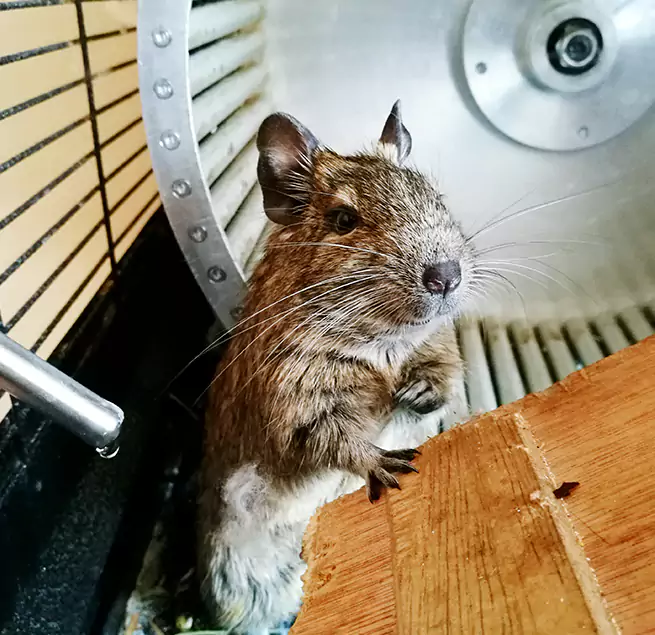 Why Homeowners & Businesses Trust Us Fort Leonard Wood, MO?