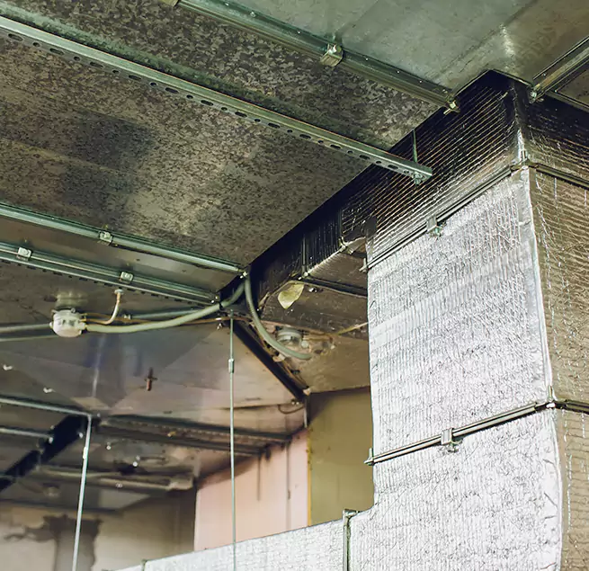 Why Homeowners & Businesses Trust Us in Fort Leonard Wood, MO?